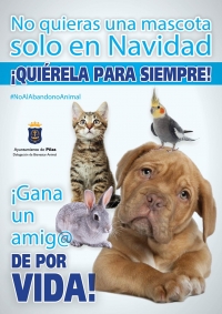 Pilas promueve una campa&ntilde;a de sensibilizaci&oacute;n con los animales en v&iacute;speras de la Navidad