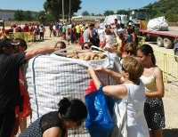 Una empresa de agricultura ecol&oacute;gica ha repartido 26.000 kg de patatas en Gelves