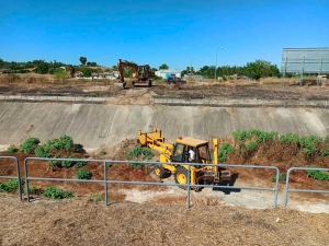 Coria del R&iacute;o, primer municipio en elaborar un plan contra el Virus del Nilo