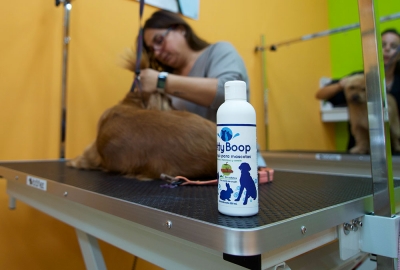 Cleanser lanza una l&iacute;nea de champ&uacute;s y acondicionadores para mascotas libre de sulfatos, parabenos y al&eacute;rgenos