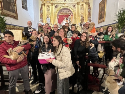 La Capilla de la Hermandad de la Divina Pastora y Santa Marina de Sevilla se llena de mascotas por San Ant&oacute;n
