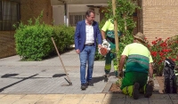 Mairena del Aljarafe alcanza ya la cifra de 18.700 &aacute;rboles