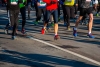 La Carrera Renault del Aljarafe llega este domingo incorporando por primera vez la modalidad de Media Marat&oacute;n