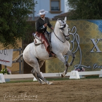 Arranca en Gines el XLVI Campeonato de Andaluc&iacute;a Absoluto de Doma Vaquera