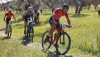 Tomares celebrar&aacute; su X Duatl&oacute;n Cros "Ciudad de Tomares" este domingo 7 de abril