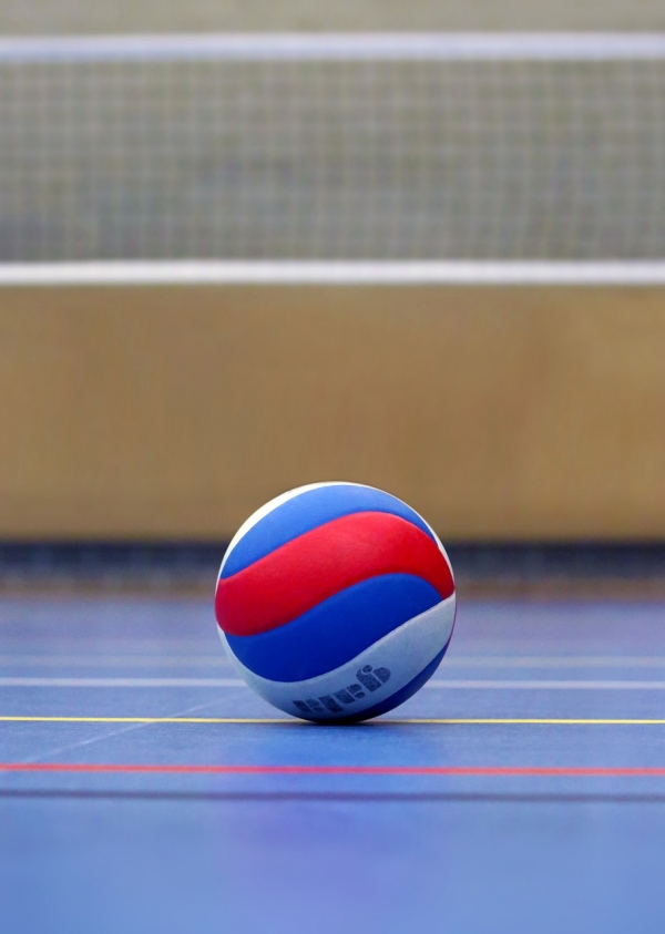Tomares acoge la final del campeonato de Andaluc&iacute;a promesas 2017 y el open promesas de voleibol