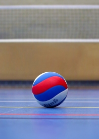 Tomares acoge la final del campeonato de Andaluc&iacute;a promesas 2017 y el open promesas de voleibol
