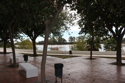Una Plaza de Coria del R&iacute;o se llamar&aacute; Rector Juan Manuel Su&aacute;rez Jap&oacute;n