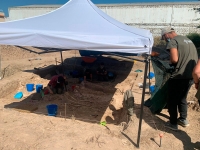 Comienzan los trabajos de exhumaci&oacute;n completa de la fosa de La Algaba, donde yacen los restos de 144 presos pol&iacute;ticos del campo de Las Arenas