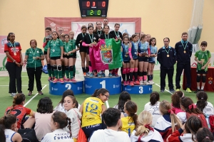 La Federaci&oacute;n Andaluza de Voleibol solicitar&aacute; que Tomares sea la sede del campeonato de Espa&ntilde;a