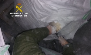 Desarticulada una organizaci&oacute;n internacional de tr&aacute;fico de hach&iacute;s que operaba desde el Aljarafe al Norte de Europa
