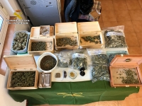 La Guardia Civil detiene a 6 personas que vend&iacute;an cann&aacute;bicos en el local de una Asociaci&oacute;n de Mairena del Aljarafe