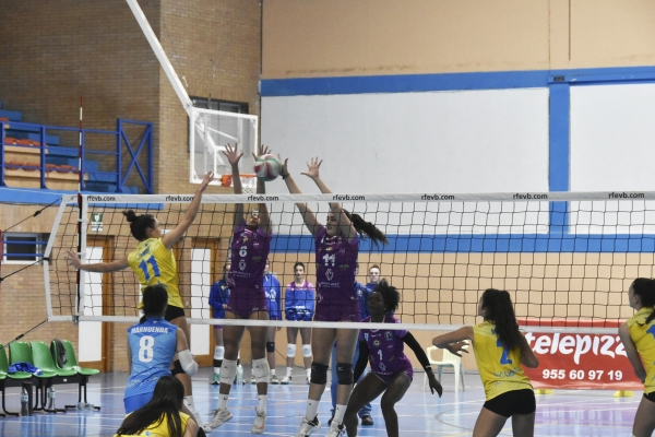 El Mairena V&oacute;ley gana el partido frente a las almerienses AVG, con un resultado de 3-0