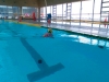 Gran fiesta del deporte en la II Jornada de la Liga de Promoci&oacute;n de la Nataci&oacute;n en Mairena del Aljarafe