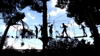 Bollullos de la Mitaci&oacute;n vivir&aacute; un fin de semana repleto de actividades para toda la familia en el entorno natural del Pinar de la Juliana